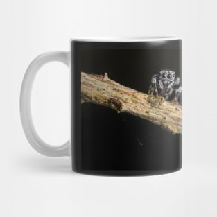 Unique and organic photo of a Salticidae Jumping spider with food Mug